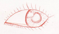 Zeichnung Auge