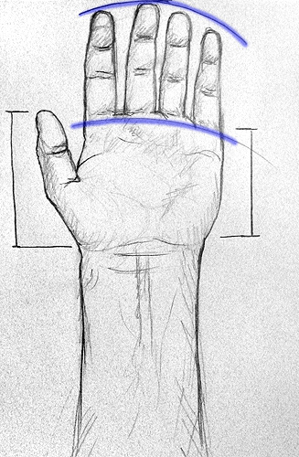 Zeichnung Handfläche