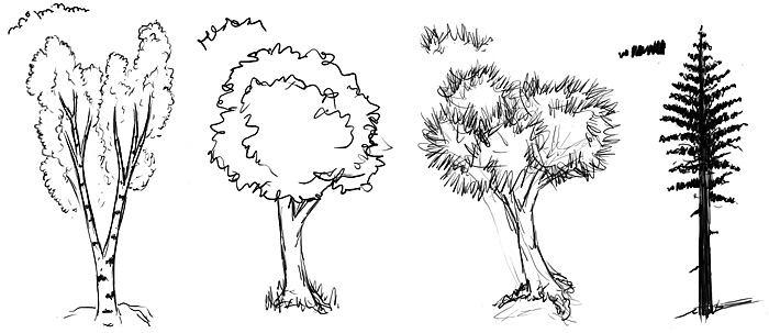 Baum Zeichnen Baume Zeichnen