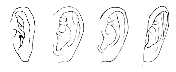 Zeichnungen von Ohren