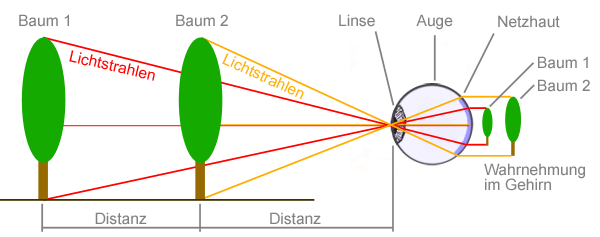 Perspektivisches Sehen