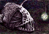 Zeichnung Anglerfisch