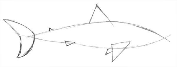 Haifisch zeichnen