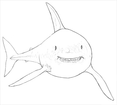 Weißer Hai Zeichnen