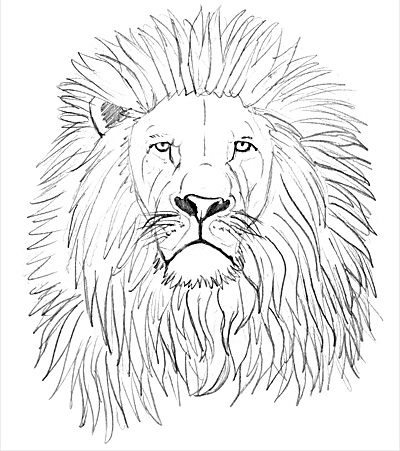 Kopf Löwe zeichnen