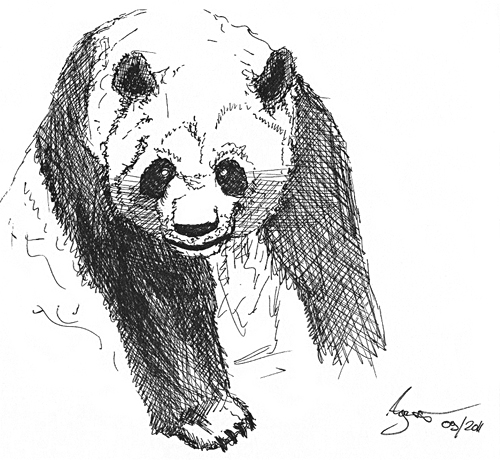 Panda Zeichnen