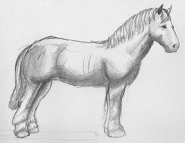 Ein Pferd selber zeichnen
