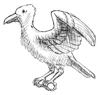 Vogel mit halbgeöffneten Flügeln zeichnen